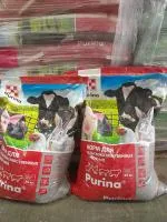 Корма, добавки для кроликов Purina