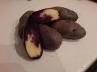 Семенной картофель сорт Северное сияние
